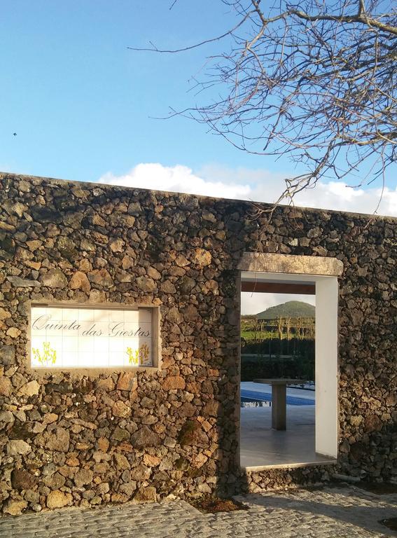 Quinta Das Giestas 大里贝拉 外观 照片